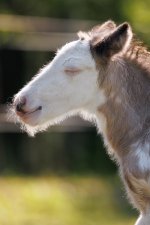 IMG_9638.jpeg