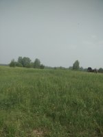 IMG_20260622_161846.jpg