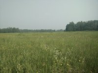 IMG_20260622_155609.jpg