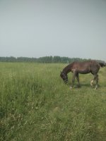 IMG_20260622_155700.jpg