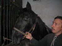 IMG_79~1.JPG