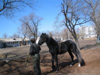 IMG_79~3.JPG