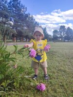 IMG_20260623_161457.jpg