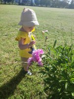 IMG_20260623_161327.jpg