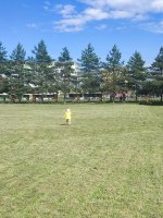 IMG_20260623_161058.jpg
