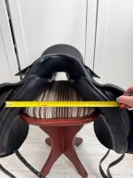 IMG_2560.jpg