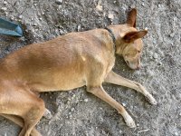 IMG_3699.jpeg
