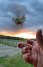 IMG_1615.jpeg