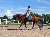 IMG_20260615_192144.jpg