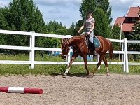 IMG_20260615_192040.jpg