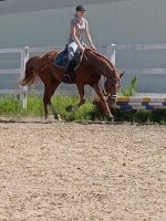 IMG_20260615_191548.jpg