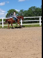 IMG_20260615_191510.jpg
