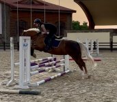 IMG_8414.jpeg