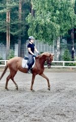 IMG_6185.jpeg
