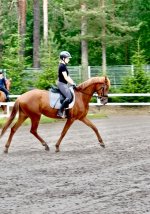 IMG_6187.jpeg