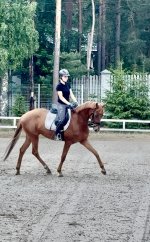 IMG_6186.jpeg