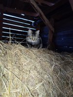 IMG_20260624_210014.jpg