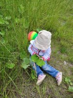 IMG_20260625_133313.jpg