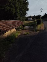IMG_20260626_074829.jpg