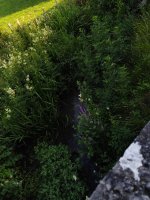IMG_20260626_074821.jpg