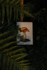 IMG_3572.jpg
