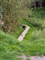 IMG_9518.jpeg