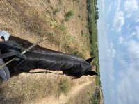 IMG_3748.jpeg