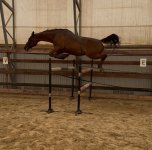 IMG_4345.jpeg