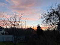 IMG_9042.jpeg