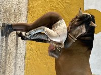 IMG_3791.jpeg