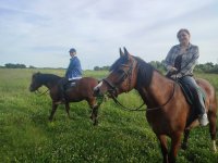 IMG_20260628_184353.jpg