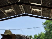 IMG_20260627_161540.jpg