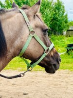 IMG_9143.jpeg