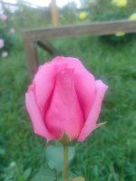 IMG20260629175903.jpg