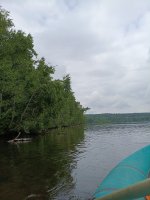 IMG_20260629_133156.jpg