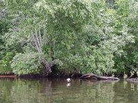 IMG_20260629_133113.jpg