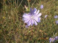 CIMG0019.JPG