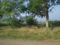 CIMG0020.JPG