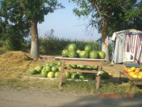 CIMG0021.JPG