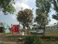 CIMG0030.JPG