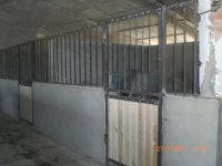 CIMG0032.JPG