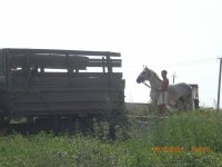 CIMG0041.JPG