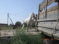 CIMG0042.JPG