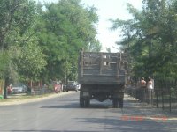 CIMG0050.JPG