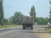 CIMG0062.JPG