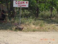 CIMG0064.JPG