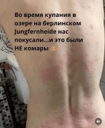 IMG_3808.jpeg