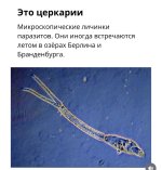 IMG_3809.jpeg