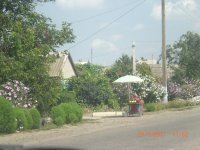 CIMG0074.JPG