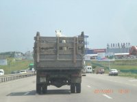 CIMG0080.JPG